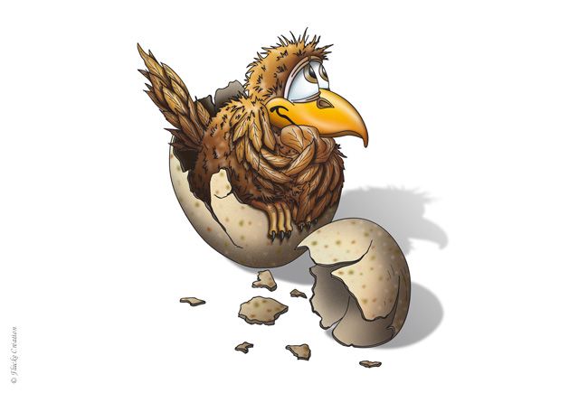 Illustration - Création d'un personnage de dessins animés, naissance d'un bébé aigle (Formation Photoshop))